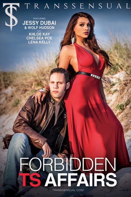 Постер: Forbidden TS Affairs