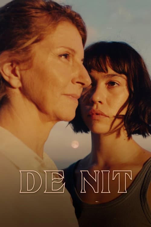 Постер: De nit