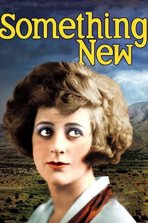 Постер: Something New