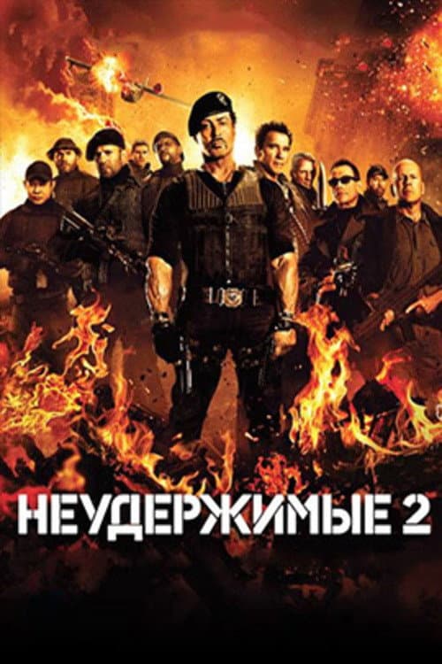 Кадр 14