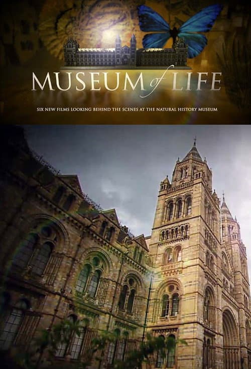 Постер: Museum of Life