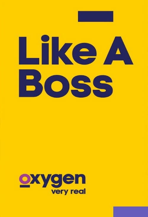 Постер: Like A Boss