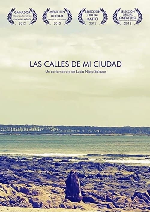 Постер: Las Calles de mi Ciudad