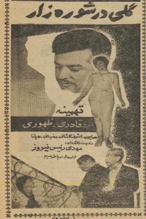 Постер: گلی در شورهزار