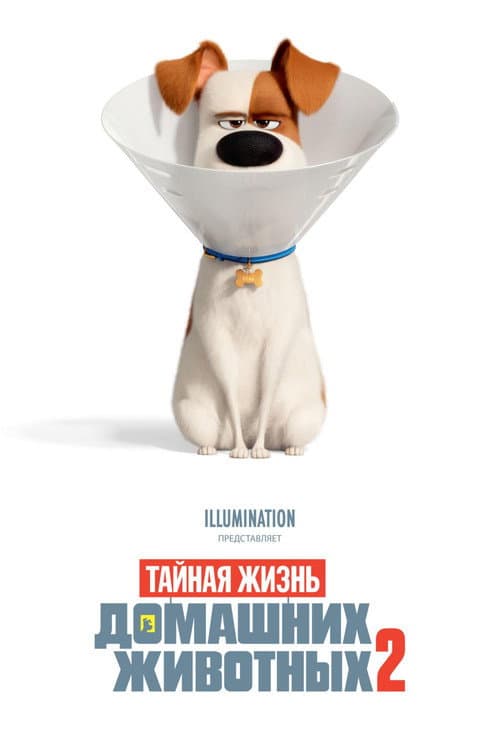 Кадр 2