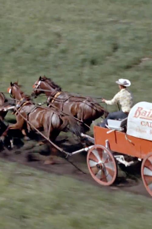Постер: Chuckwagon