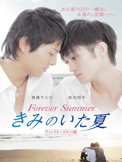 Постер: きみのいた夏 ディレクターズカット版