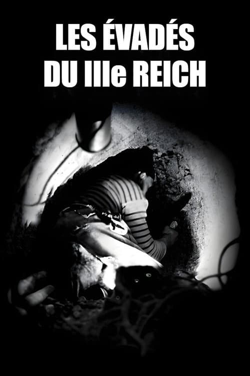Постер: Les Évadés du troisième Reich