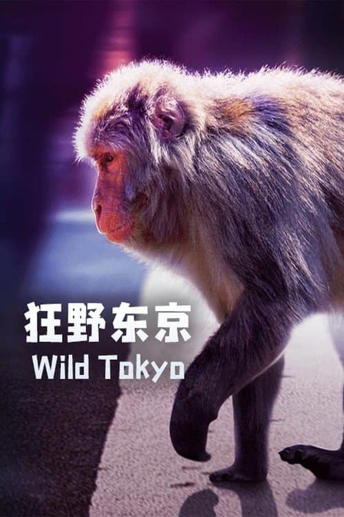 Постер: Wild Tokyo