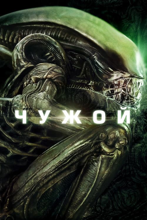 Кадр 8
