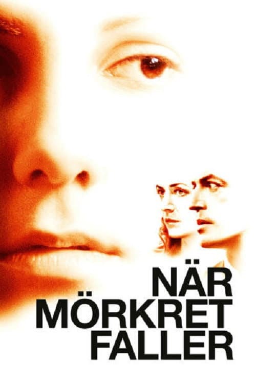 Постер: När mörkret faller