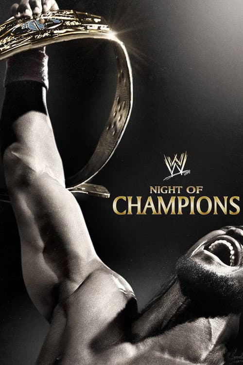 Постер: WWE Night of Champions 2013