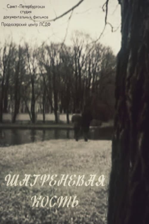 Постер: Шагреневая кость