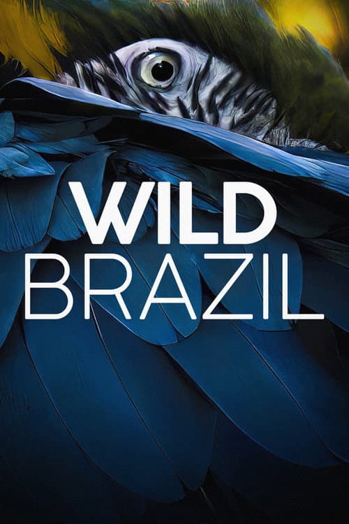 Постер: Wild Brazil