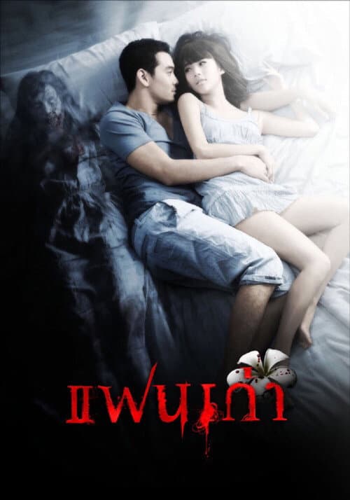 Постер: แฟนเก่า