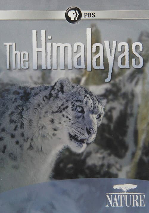 Постер: The Himalayas