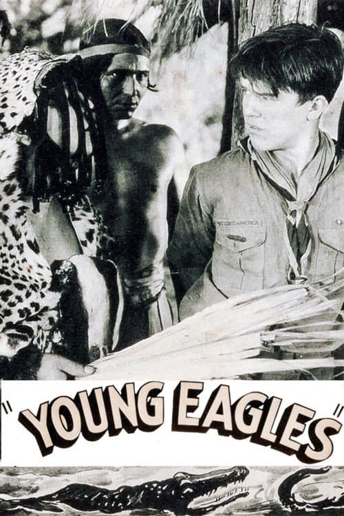 Постер: Young Eagles