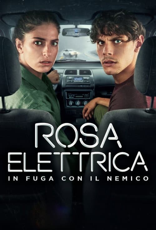 Постер: Rosa Elettrica - In fuga con il nemico