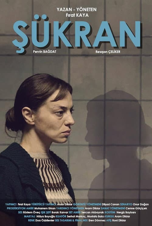 Постер: Şükran