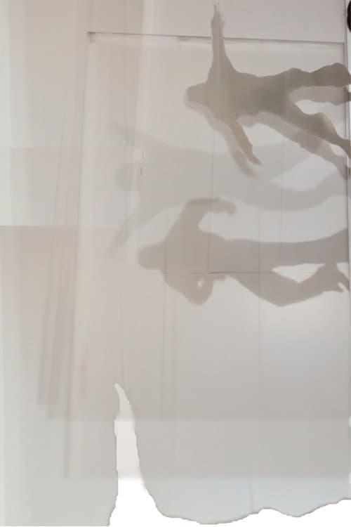 Постер: ARPEGIA