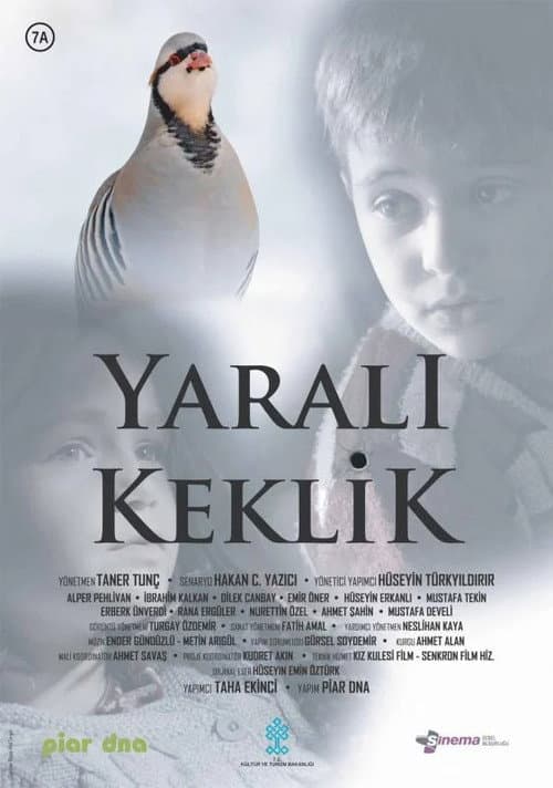 Постер: Yaralı Keklik