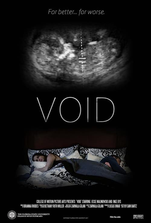 Постер: Void