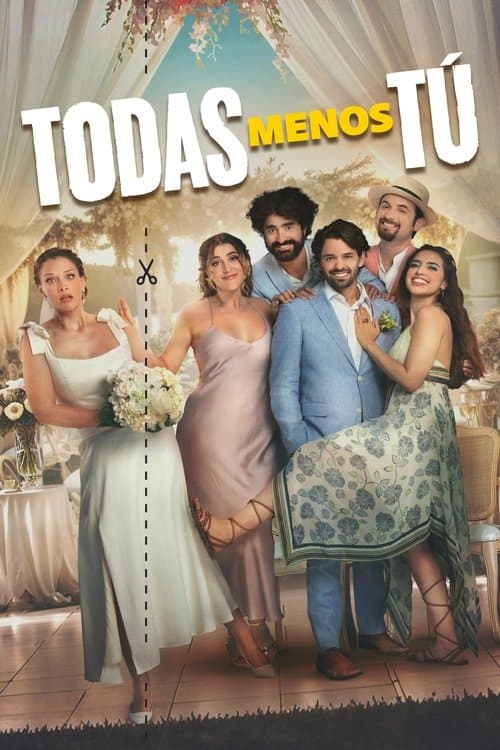 Постер: Todas Menos Tú