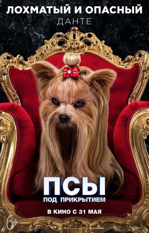 Постер 7