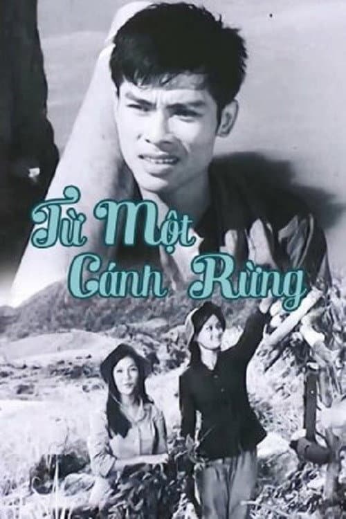 Постер: Từ Một Cánh Rừng