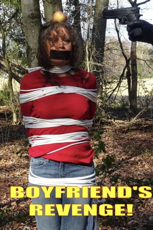 Постер: Boyfriend's Revenge