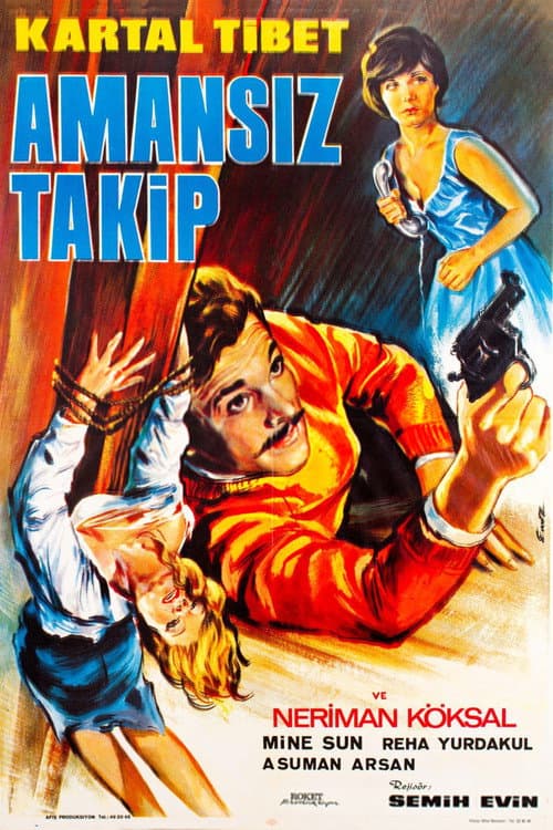 Постер: Amansız Takip