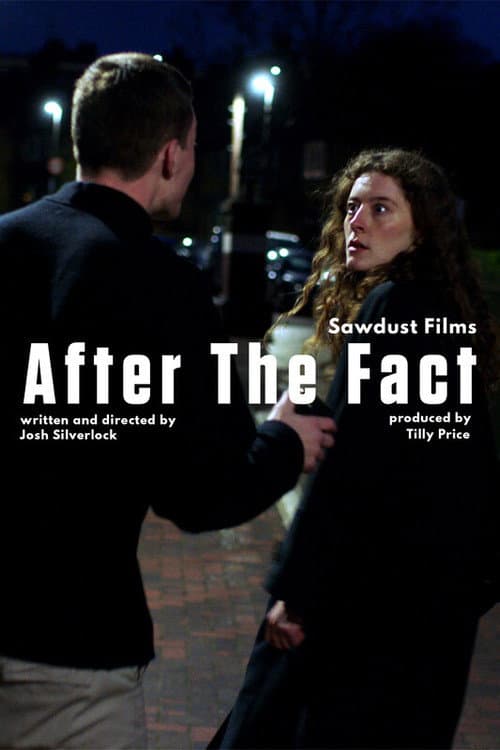 Постер: After the Fact
