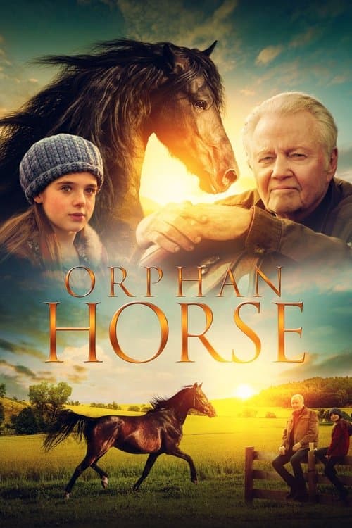 Постер: Orphan Horse