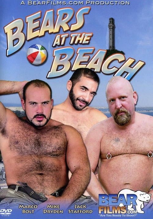 Постер: Bears at the Beach