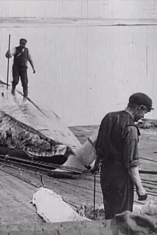 Постер: Whaling Afloat and Ashore