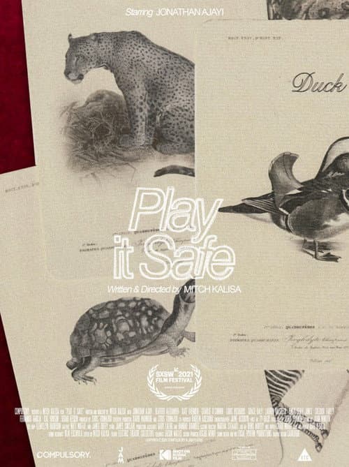 Постер: Play It Safe