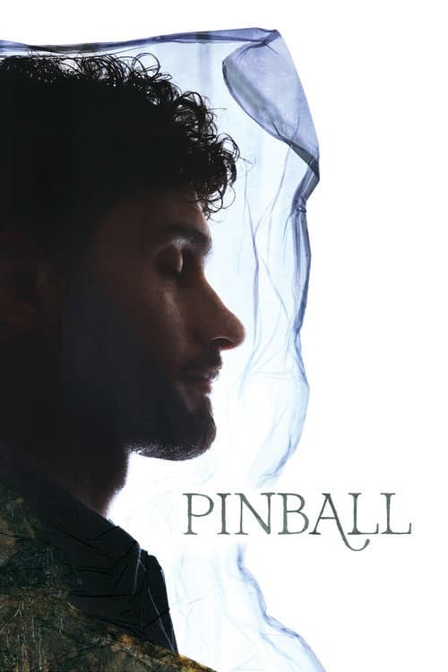 Постер: PINBALL