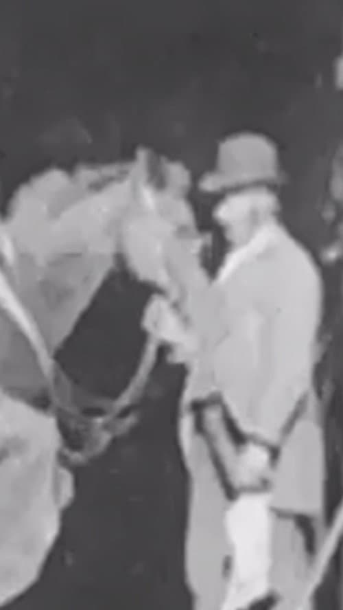 Постер: Horse Shoeing
