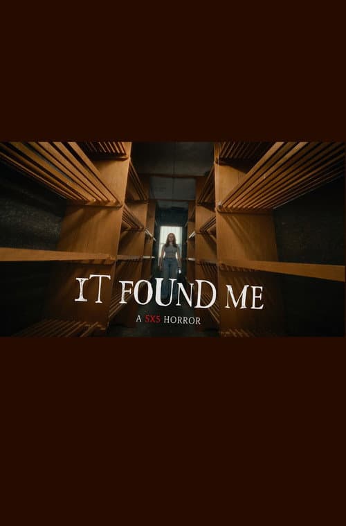 Постер: It Found Me