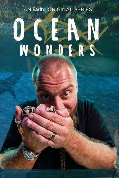 Постер: Ocean Wonders