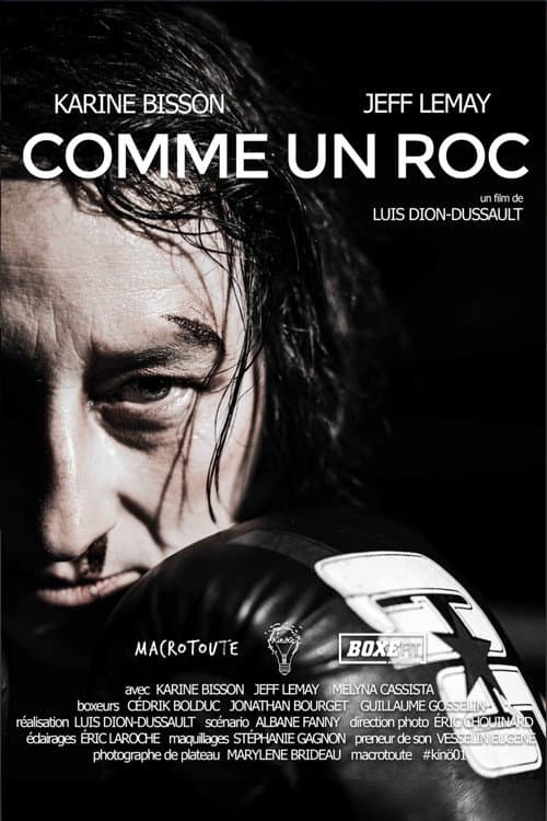 Постер: Comme un roc