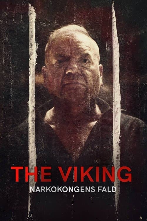 Постер: The Viking - Narkokongens Fald