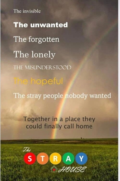 Постер: The Stray House