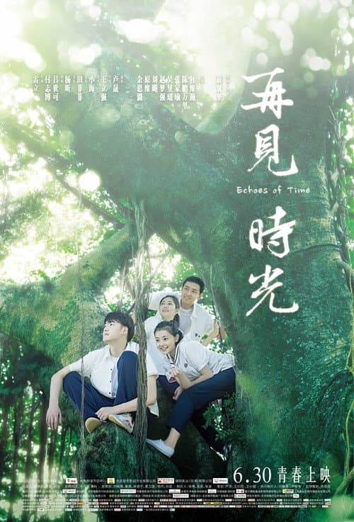 Постер: 再见时光