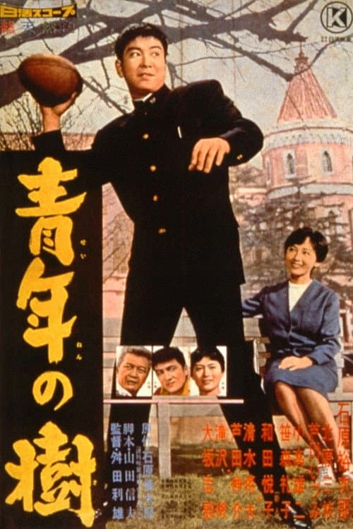 Постер: 青年の樹