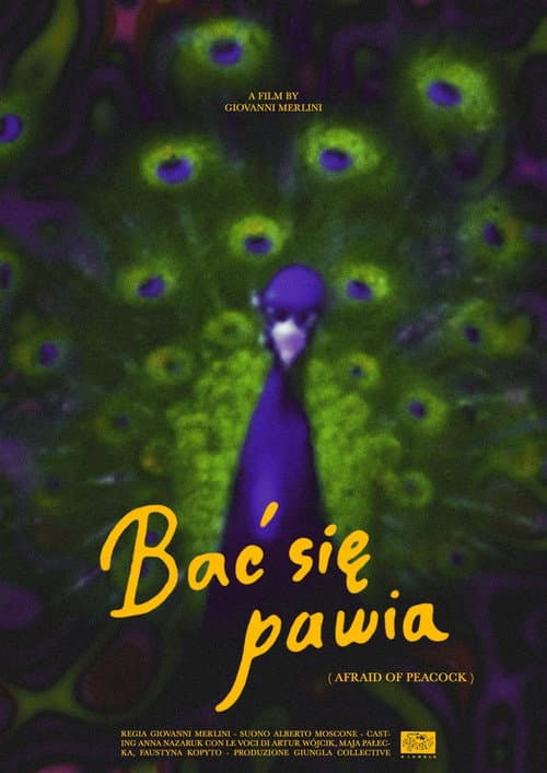 Постер: bać się pawia
