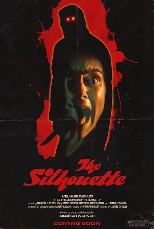 Постер: The Silhouette