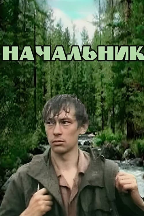 Постер: Начальник