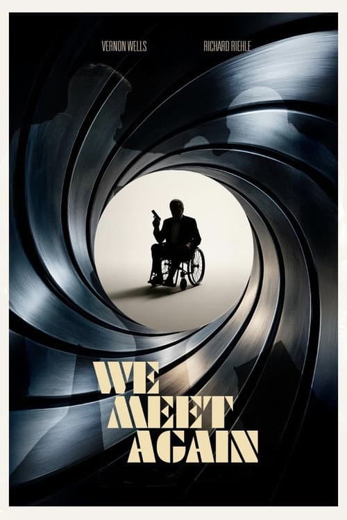 Постер: We Meet Again