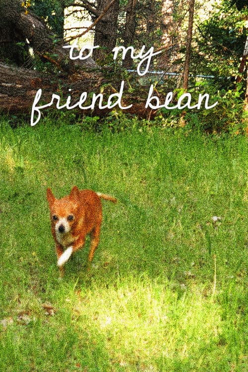 Постер: To My Friend Bean